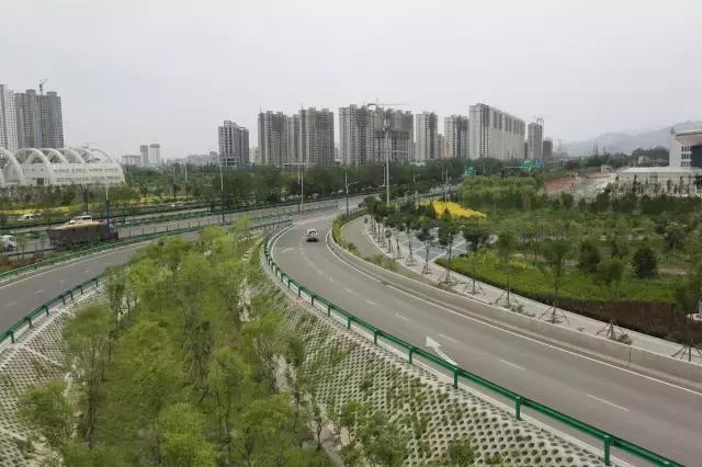 醉美西城｜“城在绿中人在景中”探访绿荫之下的回民区