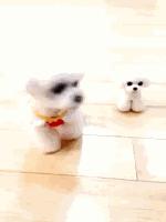 两只泰迪一红一灰,两只泰迪一蹦一跳