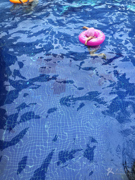 合肥哪些游泳馆开了,合肥百大附近游泳馆推荐