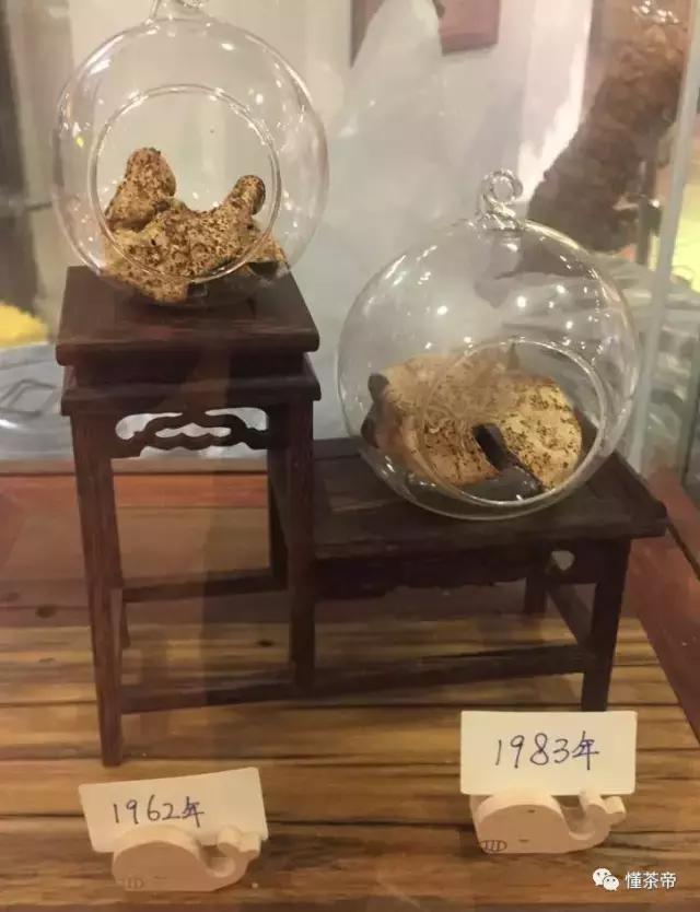 好的陈皮会有虫子吗,陈皮容易生虫子怎么办