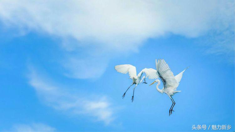 仙本那跳岛简介,仙本那跳岛图