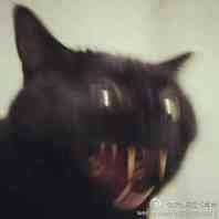 y67和a59s哪个值得买,y67和a59s哪个配置好