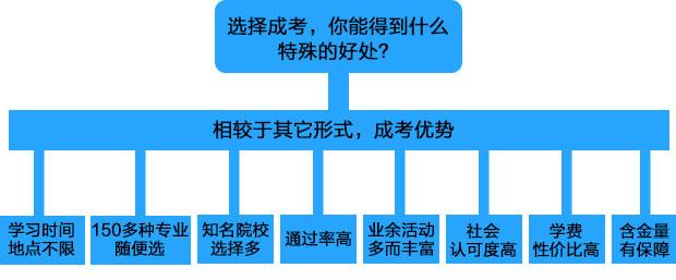 你不可错过的深度解析,北仑电大成人教育