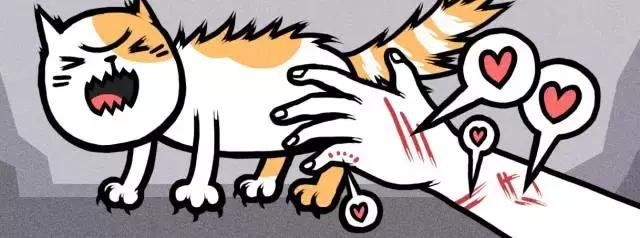 猫为什么不能摸小猫尾巴,大猫不给舔小猫屁股怎么回事