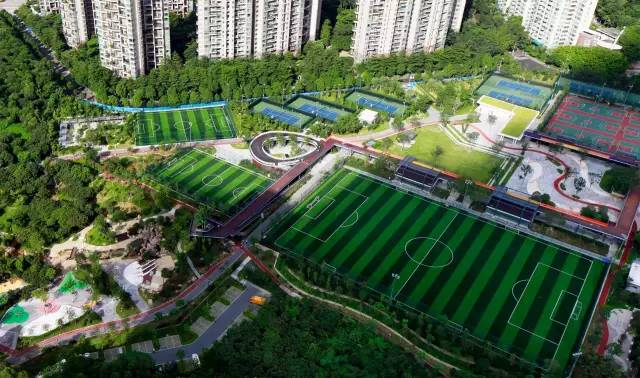 又多了一个免费约会公园！空中栈道、荔枝林、*瑰园玫**，环境超棒的！