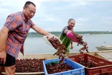 包教包会包分配,月嫂育婴包教包会包分配工作