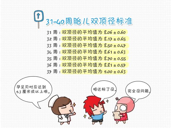 如何看胎儿双顶径,怎么看胎儿头围腹围股骨长