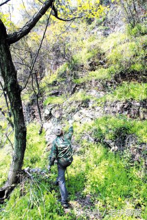 父亲和儿子背后的故事大全,父与子背后的真实故事