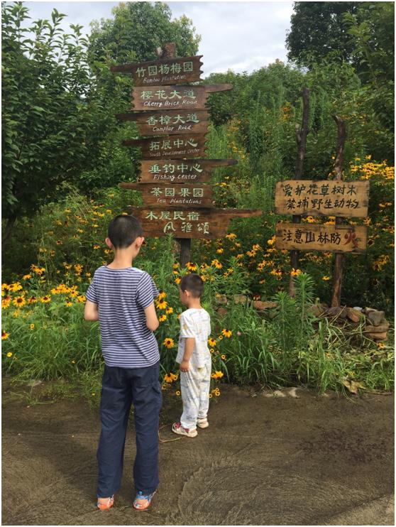 宜兴绿缘山庄度假酒店,宜兴绿缘山庄在什么地方