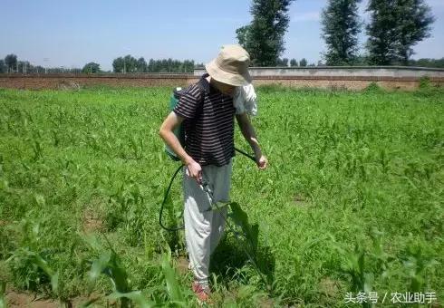 农业杀菌剂分类大全,杀菌剂的分类和作用