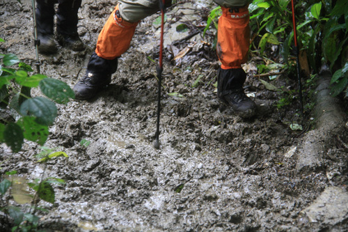 毒虫记,昆虫记毒蜘蛛阅读笔记