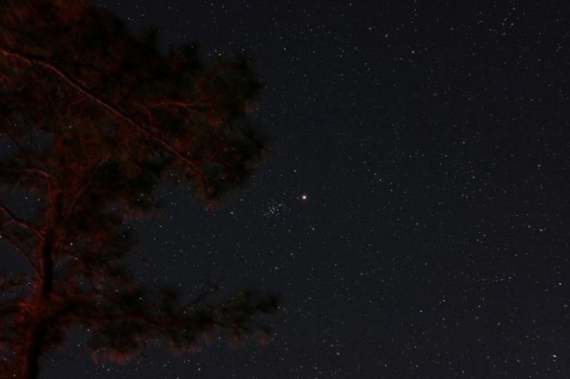 太阳高级感照片背景,超清晰太阳照片