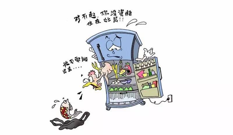 纳兰东冬:夏天到了,小可爱们如何自制冰箱呢?