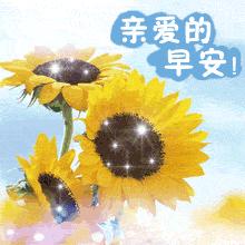 周一早上好祝福图片大全,周一怎么写早上好的祝福语