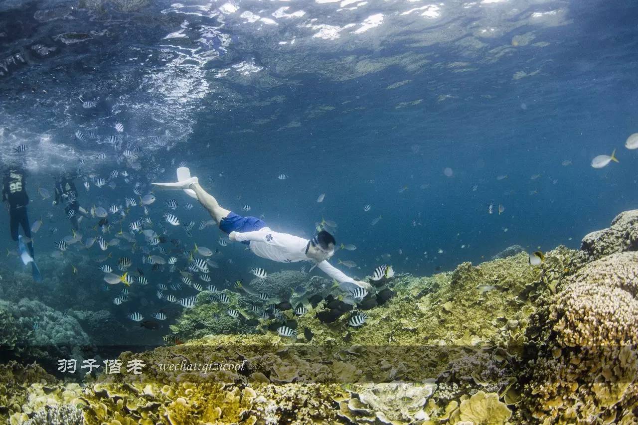 帕劳旅游发展的前景,去帕劳注意事项和必备品