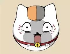 怎么防止猫咪应激伤人,猫咪中毒的解毒法