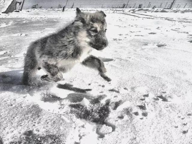 cmpa手机摄影欣赏,cmpa东莞坎普