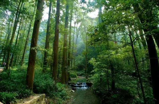 杭州拍婚纱照2万,拍婚纱照去杭州怎么样