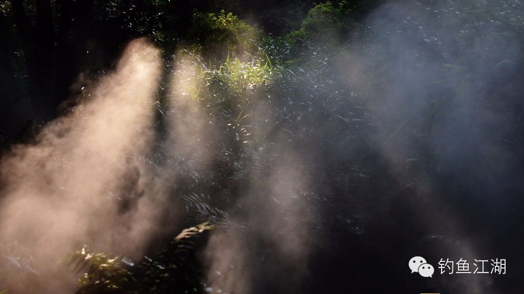 日本渔具在夏季卖得有多火 (揭开日本渔具市场的黑幕)