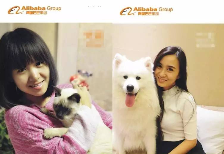 小二工牌照流出，传说中的阿里脸原来是酱紫