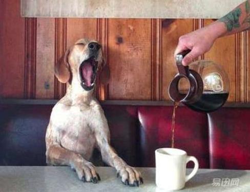 装逼思路清晰,装逼的小技巧