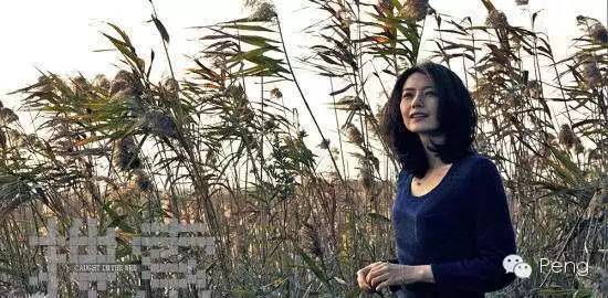 高圆圆被吐槽完整,高圆圆被吐槽