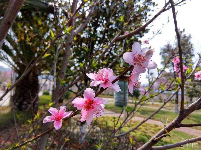 红米note3的拍照方法,红米note3不亮