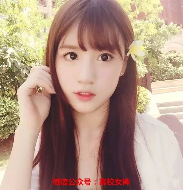 1931女团全部视频,1931女子偶像组合都有谁