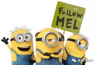 小黄人来到城市,小黄人来到大城市