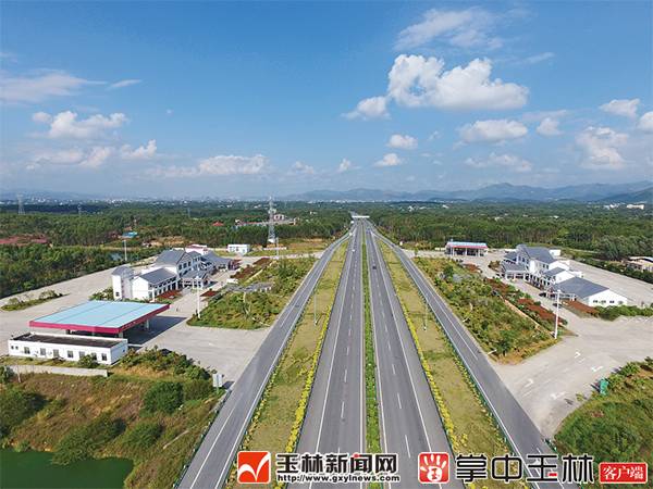 女子没吃早餐体内1000多颗结石,沈阳女子身体里取出400颗结石