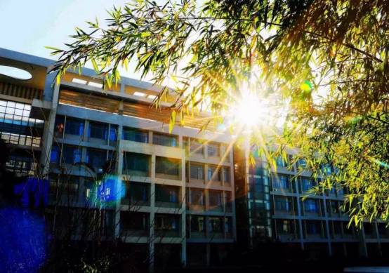 离开了本地就找不到的东西,西外美女最多的地方