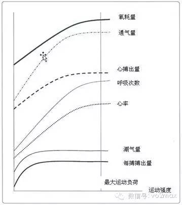 cpet心肺功能运动试验,心肺运动试验检查多少钱