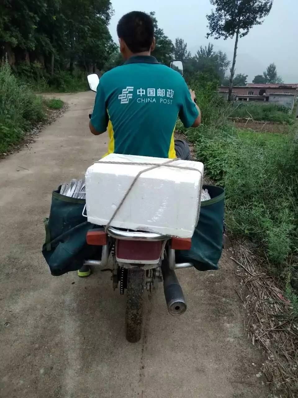 厉害了!这个平山人13年走过的路能绕地球一圈!只为做好一件事!