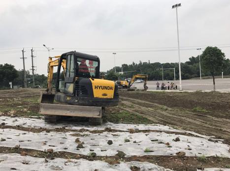 看花何必去婺源,双流看花胜地