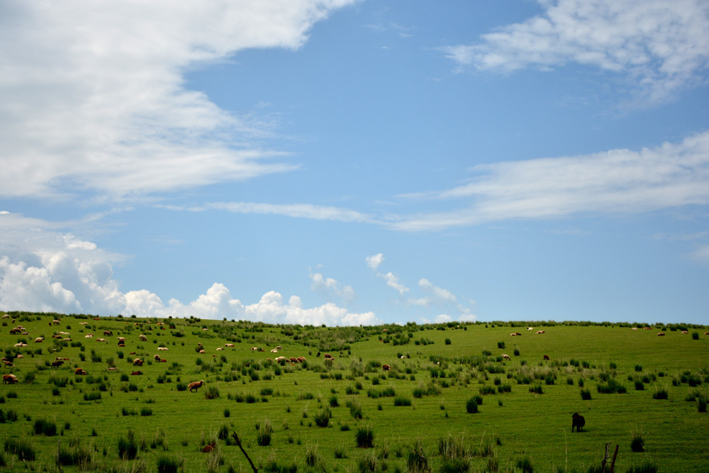 行者无疆-6月乌孙，漂洋过海为圣湖，翻山越岭因初心