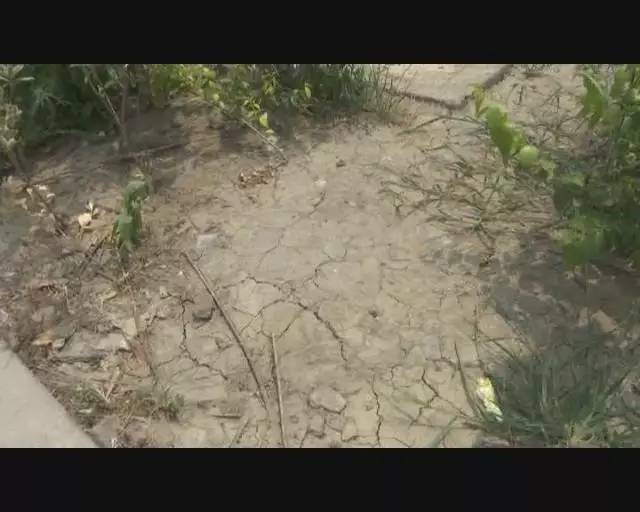 汗蒸给蒸中暑了搞笑视频,居然中暑了