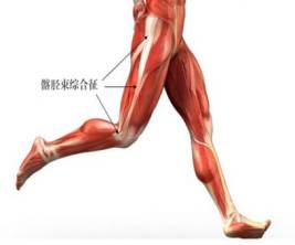 丁丁谈跑步｜受伤了还能不能跑？——常见运动损伤的处理方法