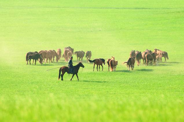 对不起，我去草原了，别再找我了……