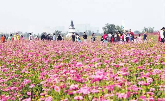 龙泉驿区2019年上半年gdp,龙泉驿gdp在成都排名