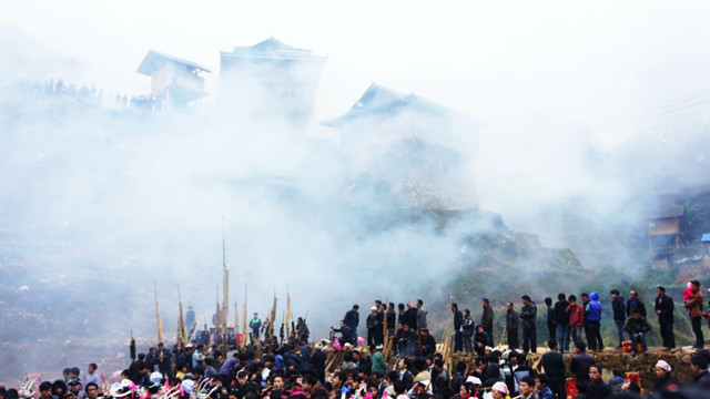 苗寨斗牛风俗视频,苗寨斗牛活动