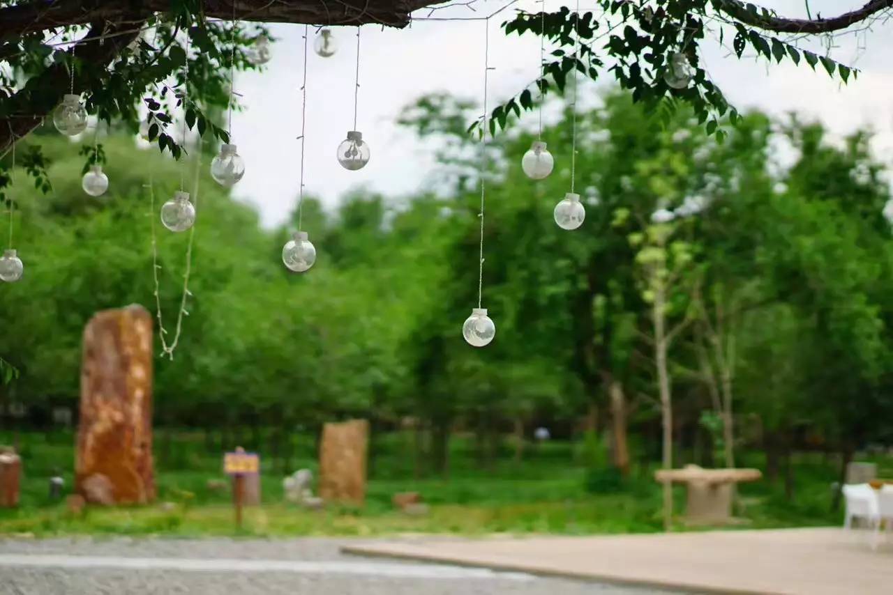 昌吉丝路庭州嘉年华2018,昌吉芸农庄旅游攻略