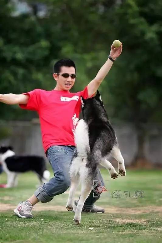 遇到讨厌狗狗的邻居怎么办,如何对付讨厌狗狗的人