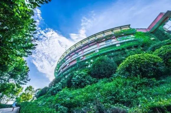 三江学院，小三本的奋斗传奇