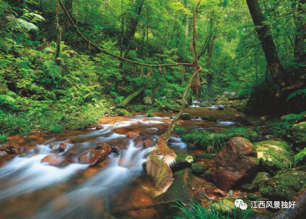 龙南的客家围屋里面有哪些东西,龙南客家围屋旅游景点介绍视频