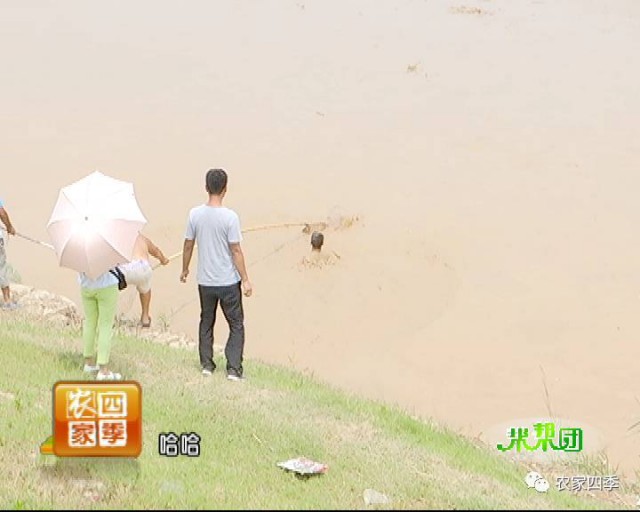 河里捞鱼虫子违法吗,河边捞鱼注意事项