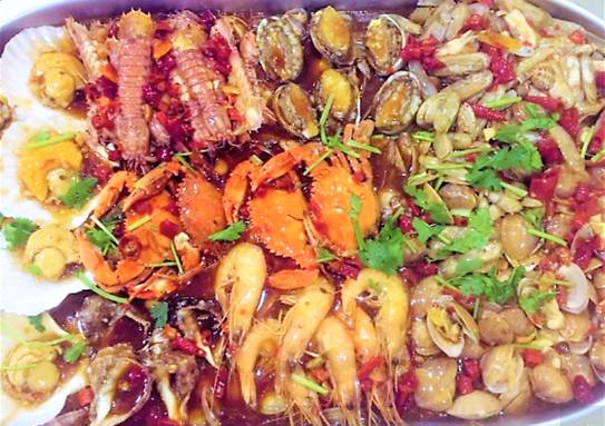 秦皇岛适合带狗去的地方,北戴河的民宿带狗的可以去吗