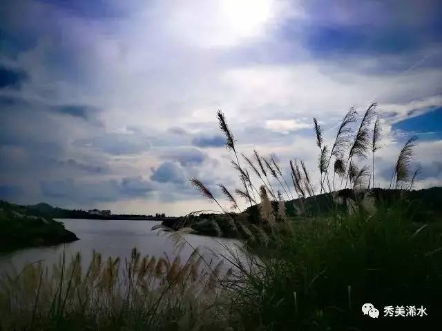 「浠世好文」白莲河上小天池