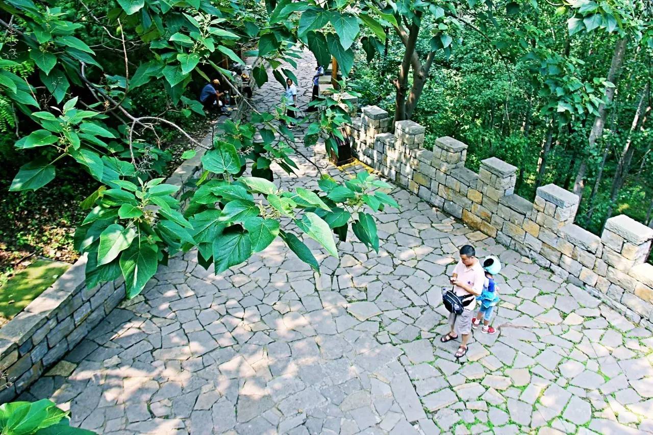 它被称作天上王城，更有中华第一崮美名，薄雾氤氲景色迷人