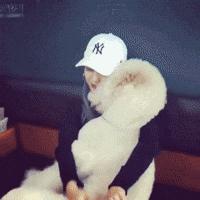 自从养了狗就没有了朋友,自从养了狗就没有朋友