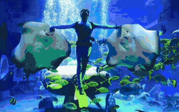 小孩去极地馆要钱吗,孩子第一次去极地馆